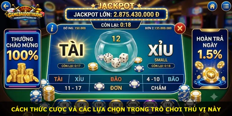 Cách thức cược và các lựa chọn trong trò chơi thú vị này