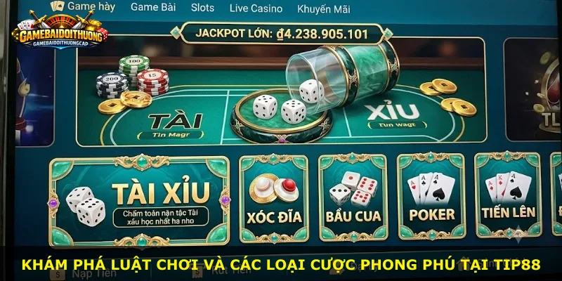 Khám phá luật chơi và các loại cược phong phú tại Tip88