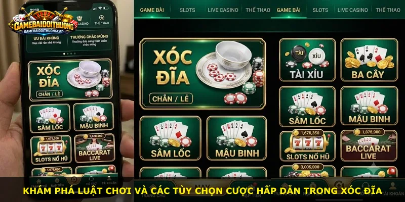 Khám phá luật chơi và các tùy chọn cược hấp dẫn trong Xóc Đĩa