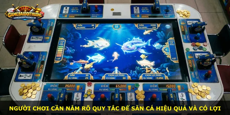 Người chơi cần nắm rõ quy tắc để săn cá hiệu quả và có lợi