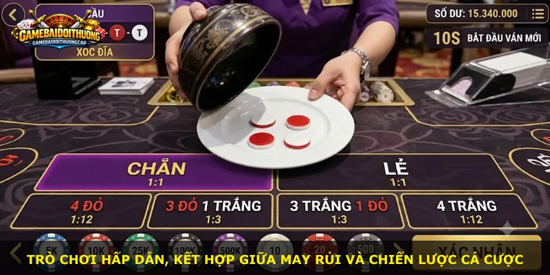 Trò chơi hấp dẫn, kết hợp giữa may rủi và chiến lược cá cược
