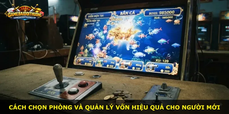 Cách chọn phòng và quản lý vốn hiệu quả cho người mới