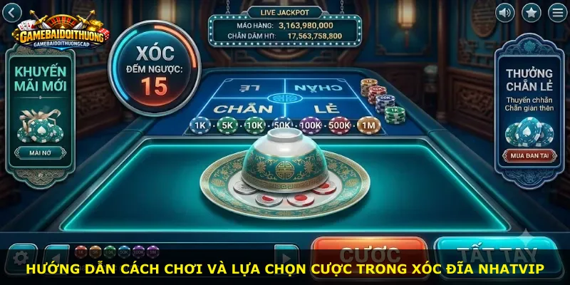Hướng dẫn cách chơi và lựa chọn cược trong Xóc Đĩa NHATVIP