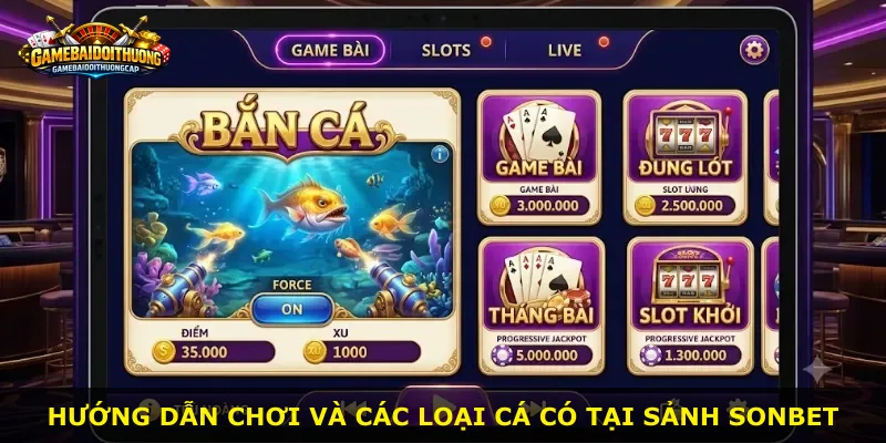 Hướng dẫn chơi và các loại cá có tại sảnh Sonbet