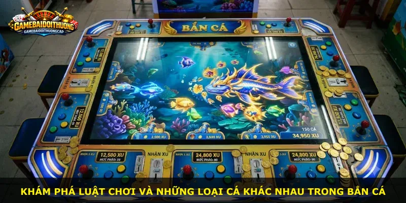 Khám phá luật chơi và những loại cá khác nhau trong bắn cá