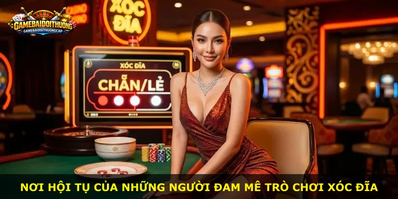 Nơi hội tụ của những người đam mê trò chơi xóc đĩa