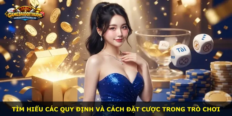 Tìm hiểu các quy định và cách đặt cược trong trò chơi